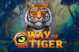 Way Of The Tiger96