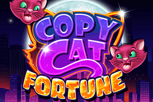 Copy Cat Fortune